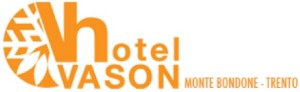 Hotel Vason