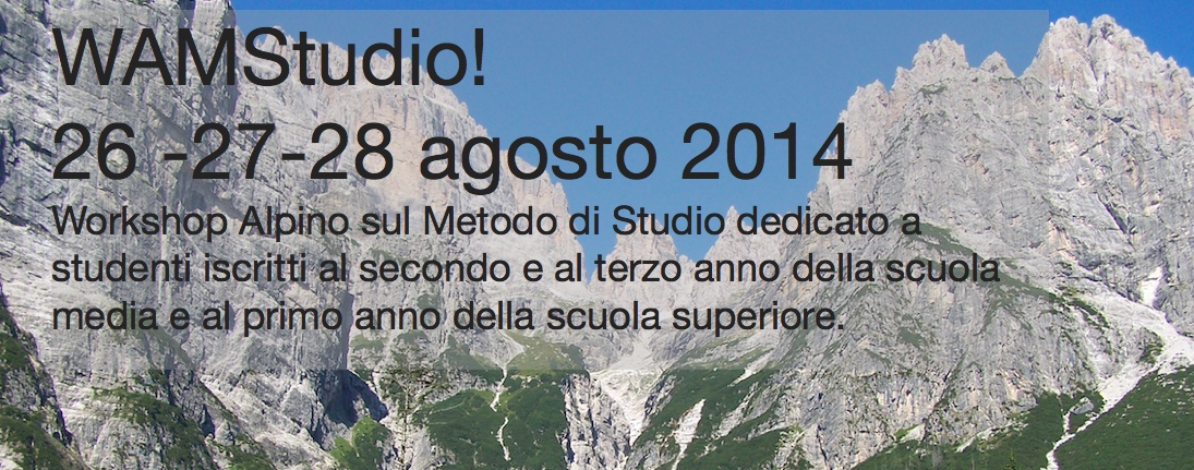 Wamstudio
