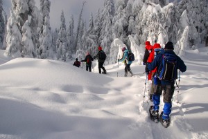 snowshoeing