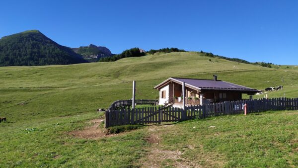 Giro Naturalistico delle Viote