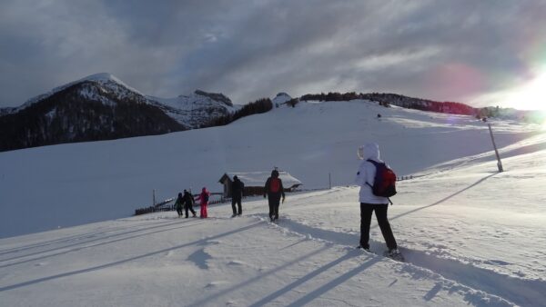 Viote Express -  La storica Ciaspolata di gruppo del Monte Bondone